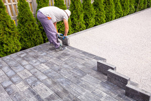 Best Driveway Paving Near Me  in Wilson, WY